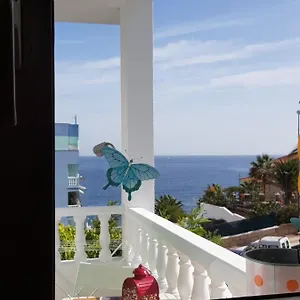 guest-house-the-magic-dragonfly.in-canary-islands.com/